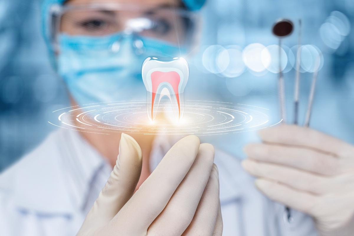 Where Can I Find Endodontic Retreatment in Ellicott City, MD_ (1) endodontist holds up model of a tooth to explain endodontic retreatment in ellicott city, md